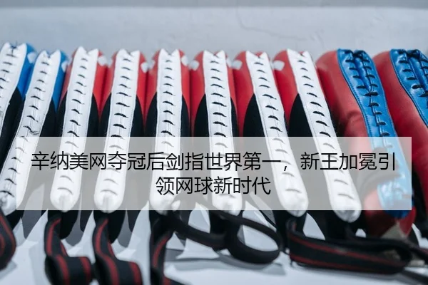 xin-na-mei-wang-duo-guan-hou-jian-zhi-shi-jie-di-yi-xin-wang-jia-mian-yin-ling-wang-qiu-xin-shi-dai-2-228.jpg